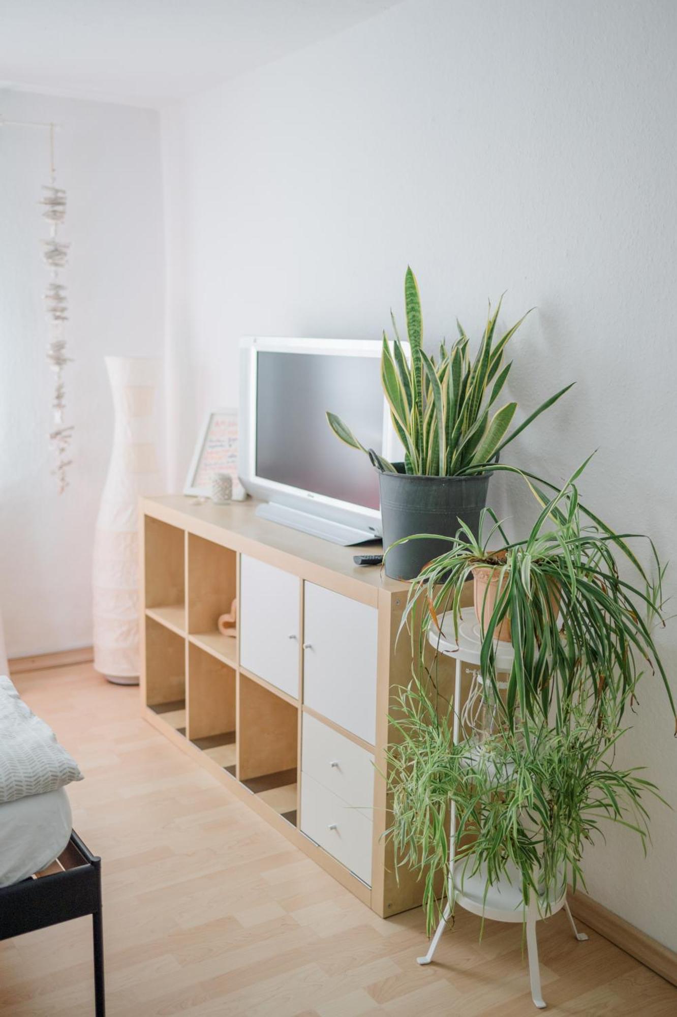 Buchlindenweg - Zimmer & Ferienwohnung Breitscheid  Bagian luar foto